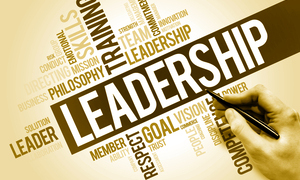 Lead A Team